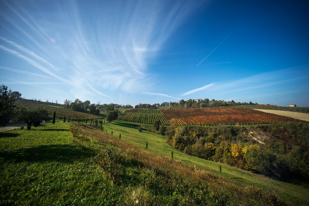 Agriturismo Acetaia Sereni Marano sul Panaro المظهر الخارجي الصورة